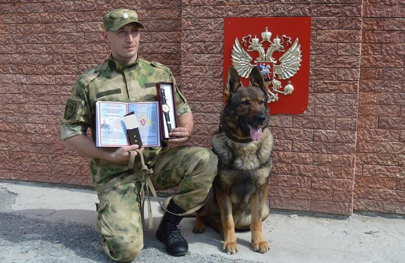 Кинологи Росгвардии завершили профессиональное  обучение  в Тюмени