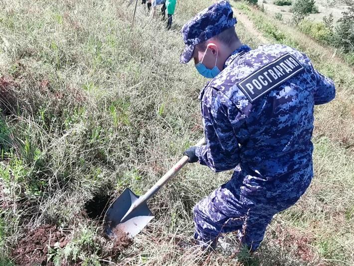 Росгвардейцы из Иркутской области приняли участие в акции «Посади дерево – подари планете жизнь»