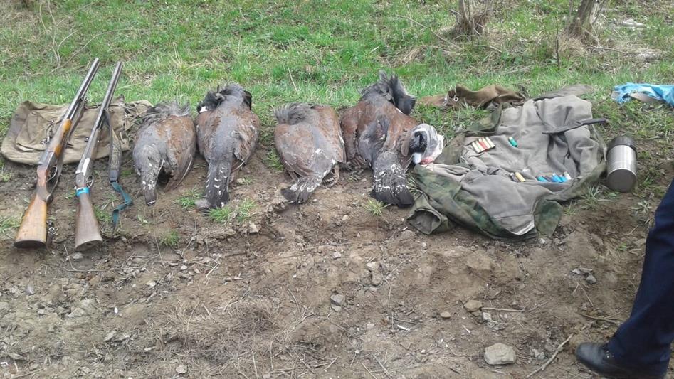 В Башкортостане росгвардейцы задержали браконьеров на особо охраняемой природной территории