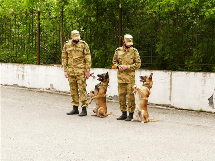 Военнослужащие северского соединения Росгвардии продолжают благодарить медиков за их самоотверженный труд