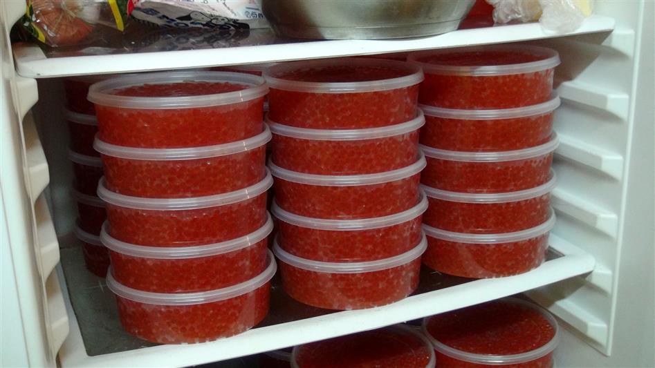 При участии СОБР в Астраханской области изъяли более 20 тонн нелегальной рыбной продукции