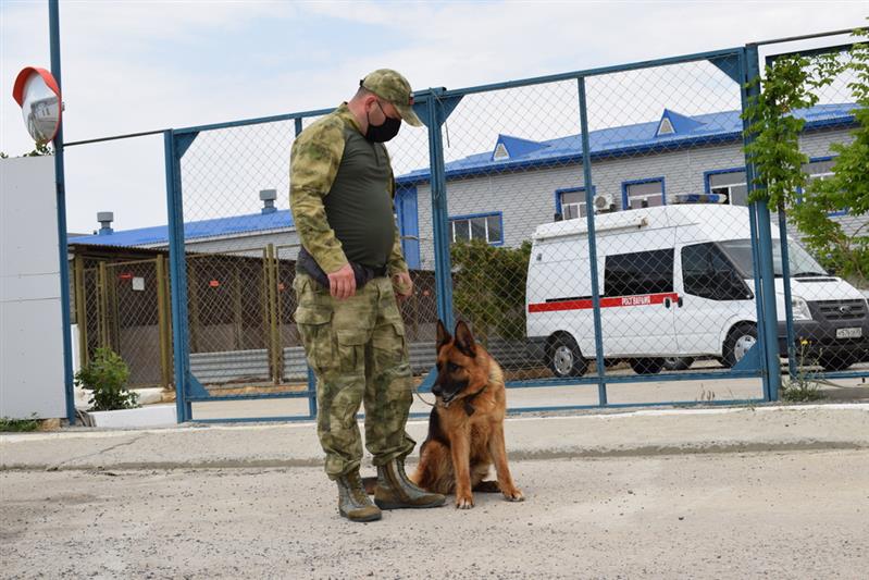 Журналисты РГВК «Дагестан» побывали в гостях у кинологов каспийского ОМОН