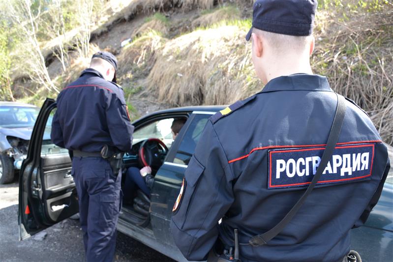 Нарядом вневедомственной охраны Росгвардии в Апатитах задержан нетрезвый водитель