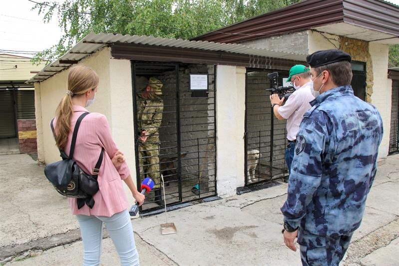 В преддверии Дня кинологической службы съёмочная группа ГТРК «Ставрополье» посетила ОМОН Управления Росгвардии  по Ставропольскому краю