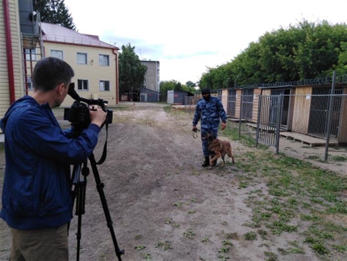В Кургане журналистам телеканала ГТРК «Россия. Курган» показали как работает минно-розыскная собака спецподразделения Росгвардии (видео)