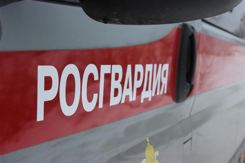 В Челябинской области сотрудники Росгвардии задержали мужчину, который уклонялся от ареста