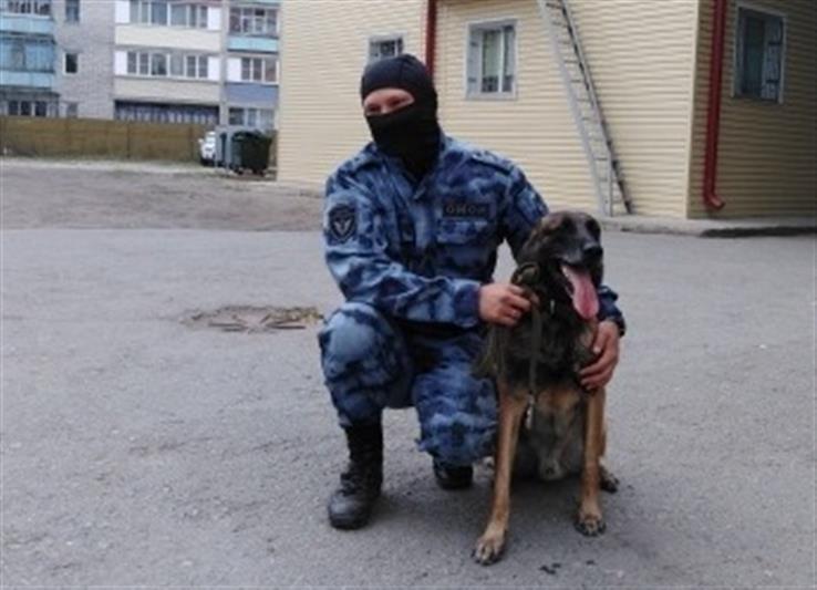 В Кургане журналистам телеканала ГТРК «Россия. Курган» показали как работает минно-розыскная собака спецподразделения Росгвардии (видео)