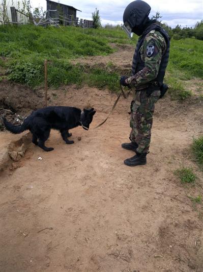 В Вологодской области сотрудники ОМОН обезвредили боеприпас, обнаруженный на приусадебном участке