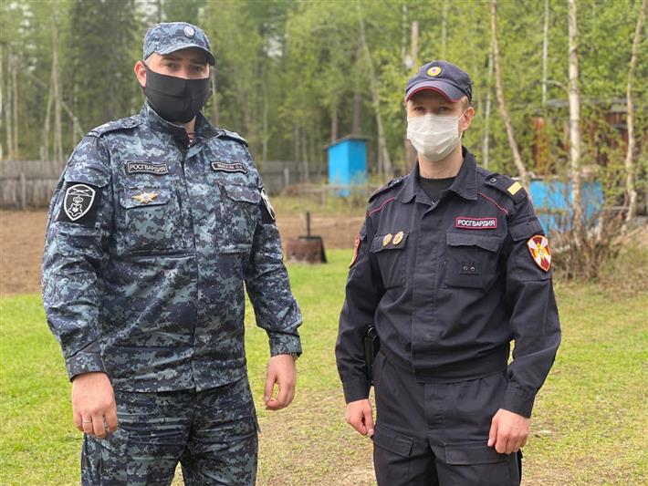 Росгвардейцы прогнали медведицу с медвежатами из дачного поселка в Якутии 