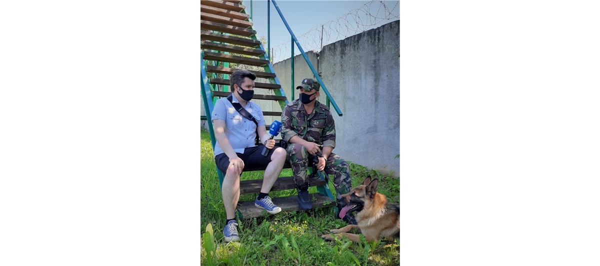 Журналисты телеканала «Тонус» побывали в гостях у кинологов ОМОН «Пересвет» 