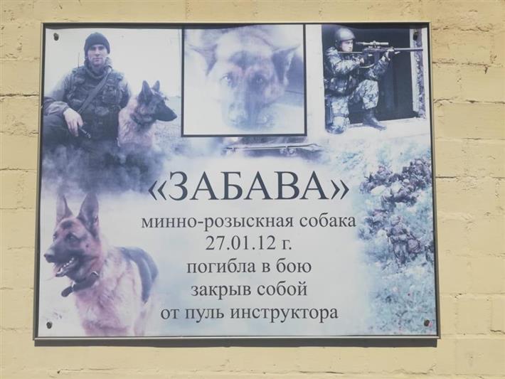 В Тюмени представители кинологического центра Росгвардии приняли участие в благотворительном проекте (видео)