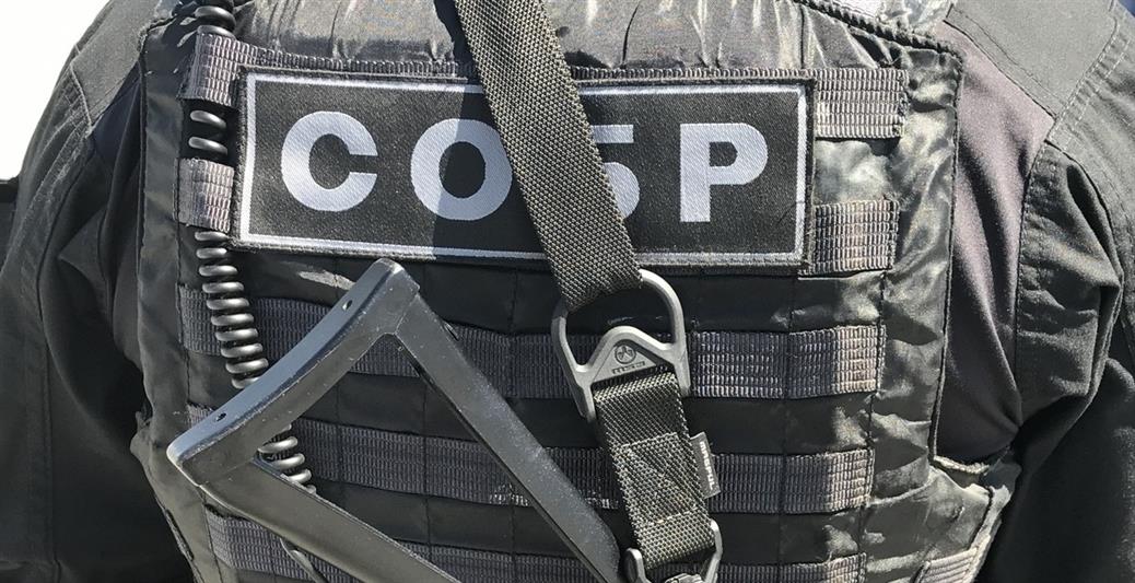 В Санкт-Петербурге сотрудники СОБР оказали содействие полиции в задержании участников организованной группы, специализирующейся на квартирных кражах