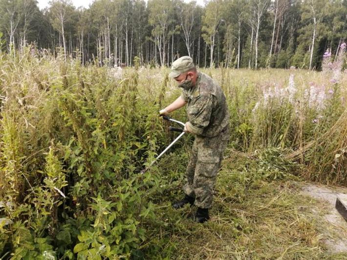 Военнослужащие Росгвардии облагородили могилы участников Великой Отечественной и афганской войн в Северске