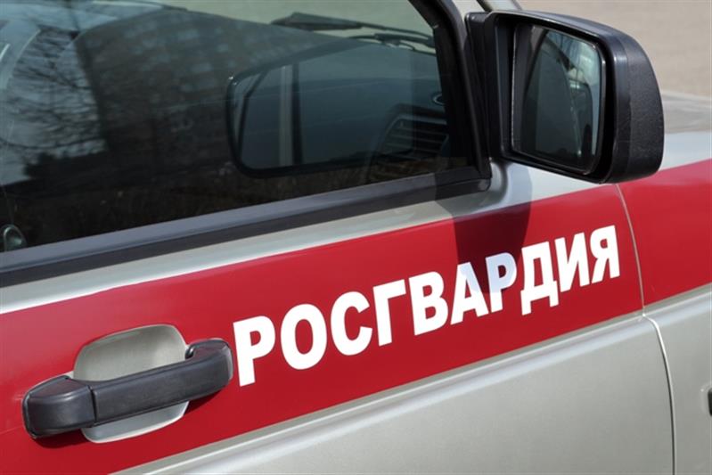 В Алтайском крае росгвардейцы задержали нетрезвого водителя