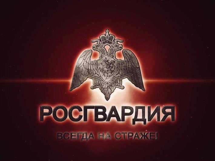 На Среднем Урале нарядом вневедомственной охраны Росгвардии пресечен факт пьяной езды