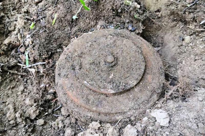 Взрывотехники ОМОН обследовали и уничтожили боеприпасы, обнаруженные в лесном массиве в Ленинградской области