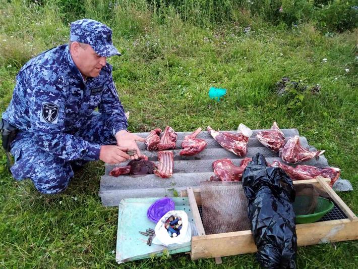 Сотрудники Управления Росгвардии по Красноярскому краю в ходе рейдового мероприятия задержали браконьера (видео)