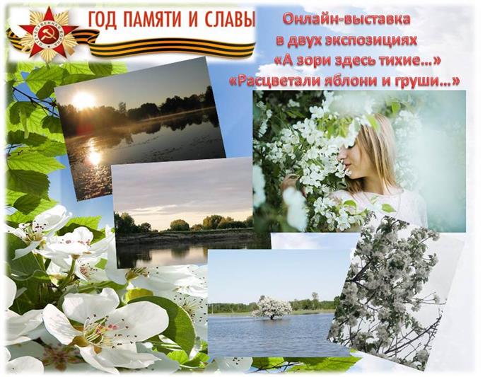 В Тюмени в преддверии Международного дня фотографа Росгвардия открыла онлайн-выставку, посвященную Году памяти и славы