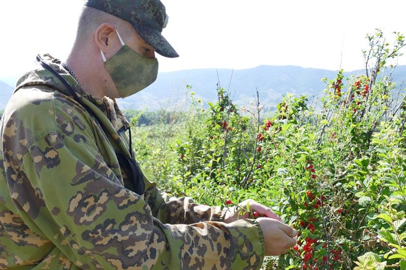 В Туве военнослужащие Росгвардии собрали более 40 килограммов ягод для детей, оставшихся без попечения родителей