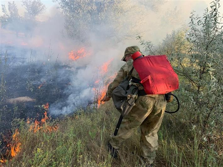 В Алтайском крае военнослужащие Росгвардии предотвратили пожар