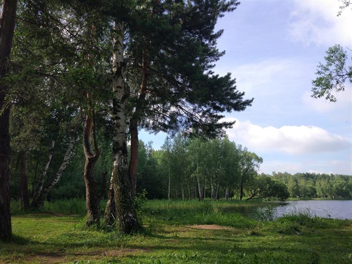 Конкурс Росгвардии ко Дню фотографа стартовал в Подмосковье  
