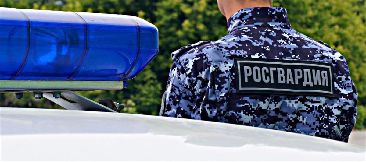 В Нижнем Новгороде росгвардейцами задержаны подозреваемые в грабеже