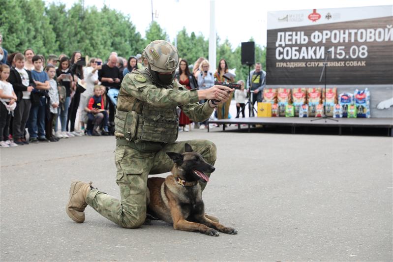 Кинологи Росгвардии вместе со своими питомцами выступили на Дне фронтовой собаки в Музее Победы (фото)