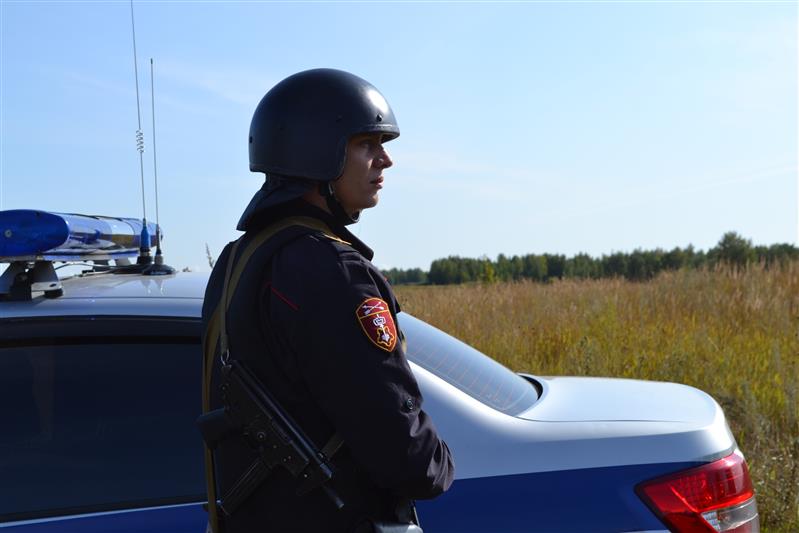 Нарядом Росгвардии в Омской области задержан нетрезвый водитель