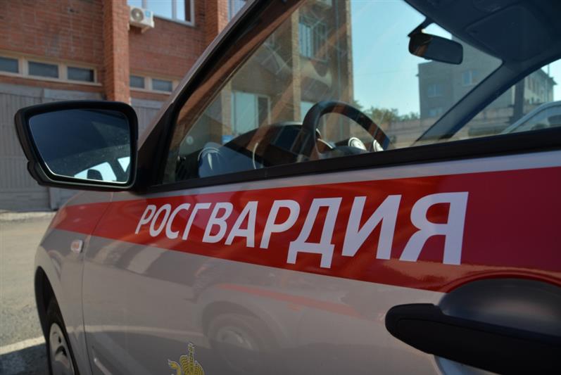 Сотрудниками Росгвардии в Камышине выявлена и задержана подозреваемая в преступлении, находившаяся в федеральном розыске