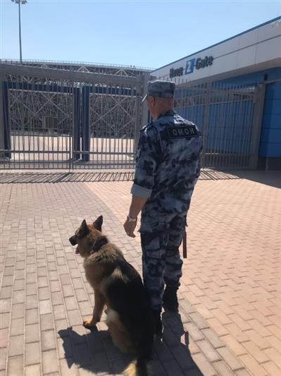 В Волгограде росгвардейцы обеспечили правопорядок во время проведения футбольного матча Российской Премьер-Лиги