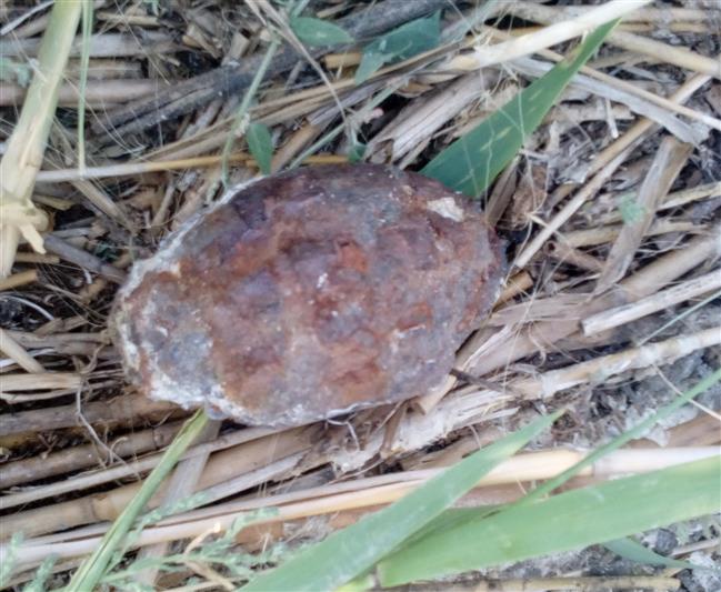 В Зауралье сотрудники ОМОН обезвредили боевую гранату