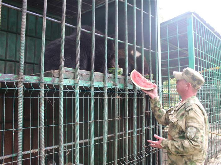 Военнослужащие иркутской авиационной эскадрильи Росгвардии оказали помощь приюту для бездомных животных