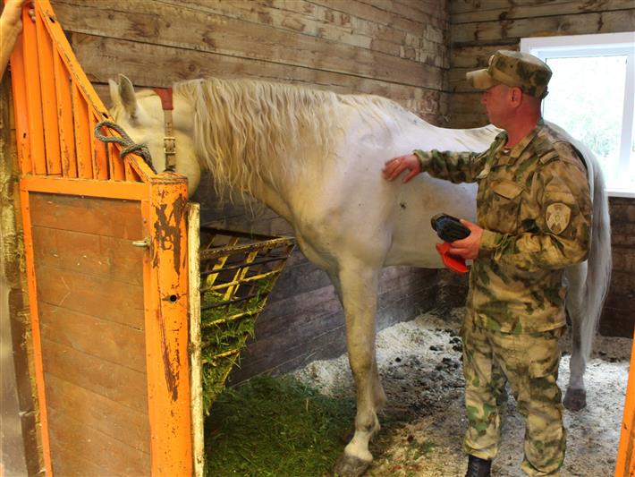 Военнослужащие иркутской авиационной эскадрильи Росгвардии оказали помощь приюту для бездомных животных