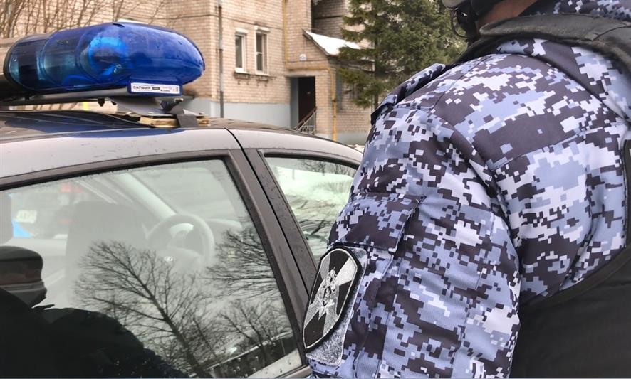 Нарядом Росгвардии в Псковской области задержан нетрезвый водитель