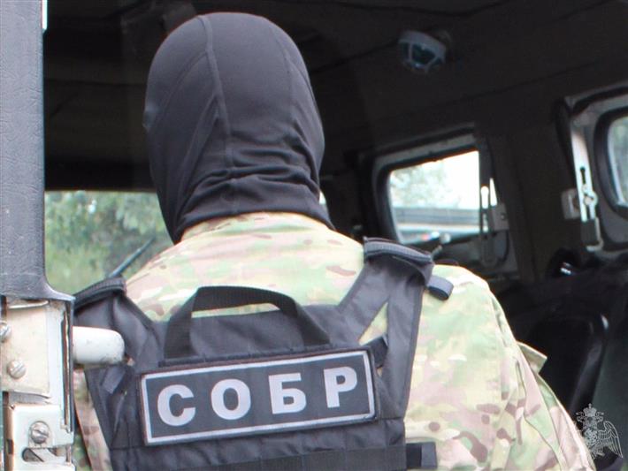 В Иркутской области при содействии Росгвардии перекрыт канал незаконной отправки лесоматериалов за рубеж