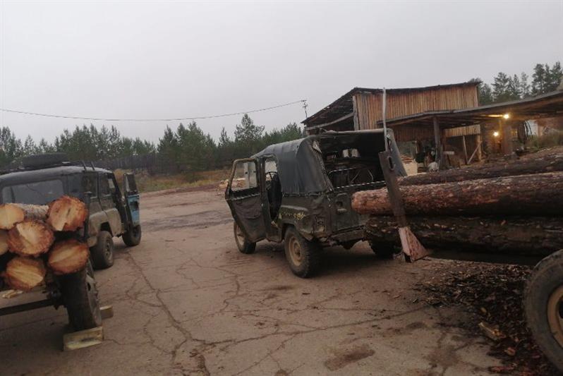 Сотрудники Росгвардии Бурятии задержали граждан за незаконную рубку леса