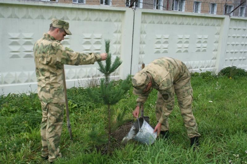 В Новосибирске военнослужащие Росгвардии присоединились к Всероссийской акции «Лес Победы»