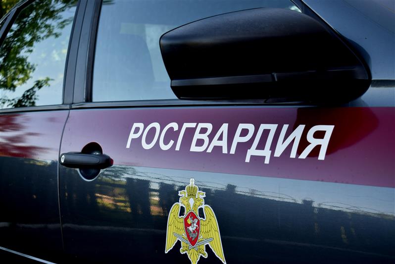 Росгвардейцы предотвратили кражу с охраняемого объекта в ЗАТО Саров 