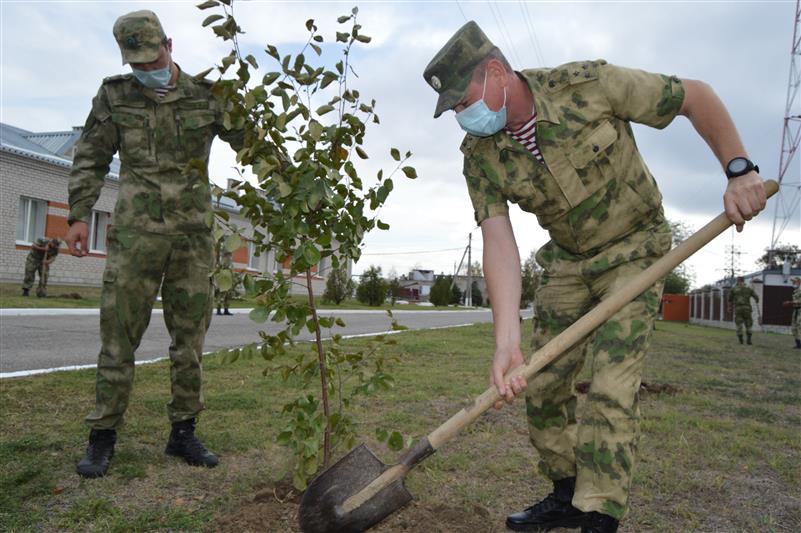 Военнослужащие артиллерийского полка Росгвардии присоединились к акции «Лес Победы»