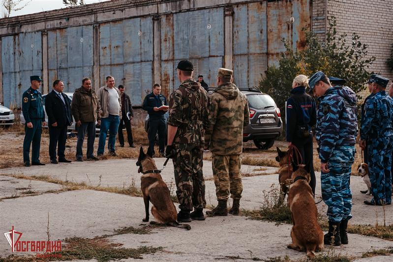 Команда Росгвардии заняла первое место на соревнованиях среди кинологических расчетов в Воронежской области