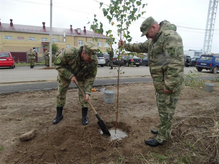 Военнослужащие богородской бригады оперативного назначения Росгвардии присоединились к акции «Лес Победы» (видео)