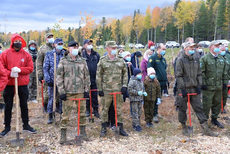 Росгвардия присоединилась к масштабной кампании по восстановлению лесов в Югре  