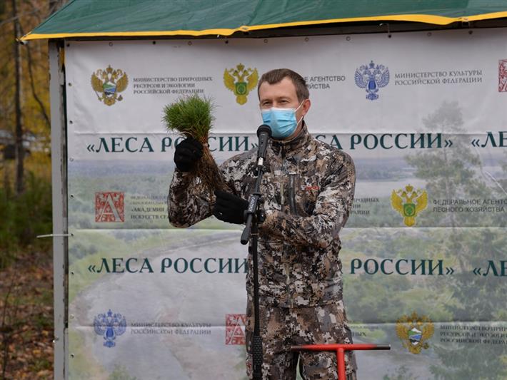 Росгвардия присоединилась к масштабной кампании по восстановлению лесов в Югре  