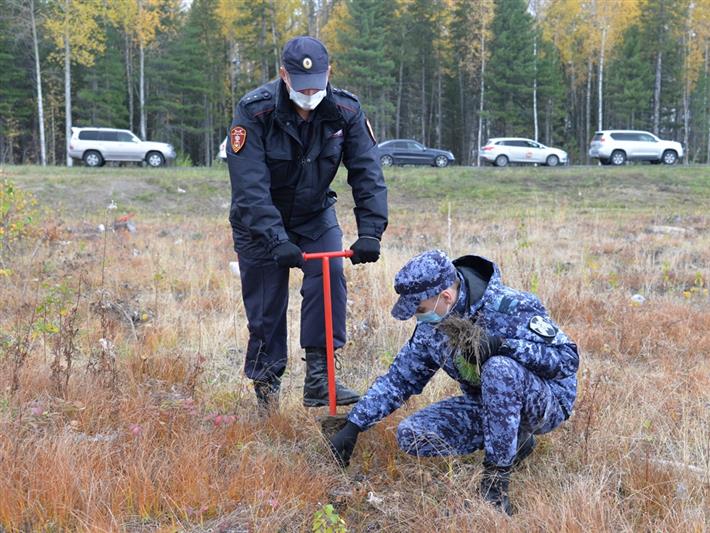 Росгвардия присоединилась к масштабной кампании по восстановлению лесов в Югре  