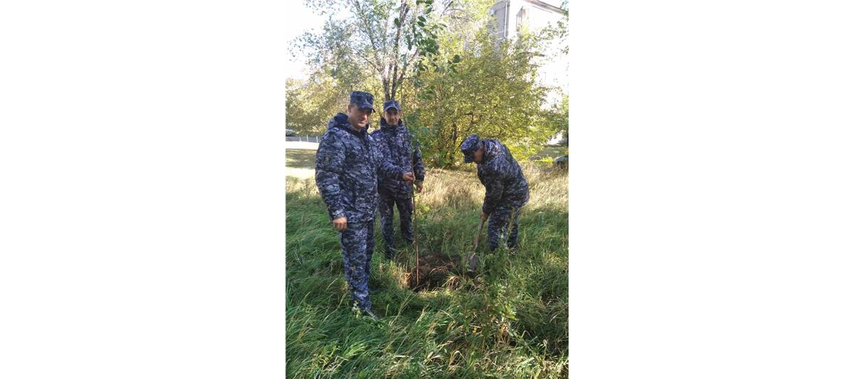 Ко всероссийской акции «Лес Победы» присоединились сотрудники Росгвардии на Южном Урале
