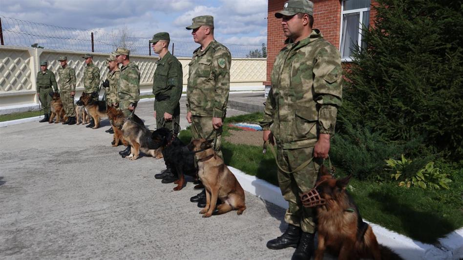 В Красноярском крае прошли сборы военнослужащих-кинологов Росгвардии