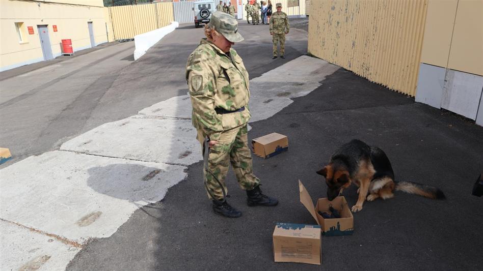 В Красноярском крае прошли сборы военнослужащих-кинологов Росгвардии