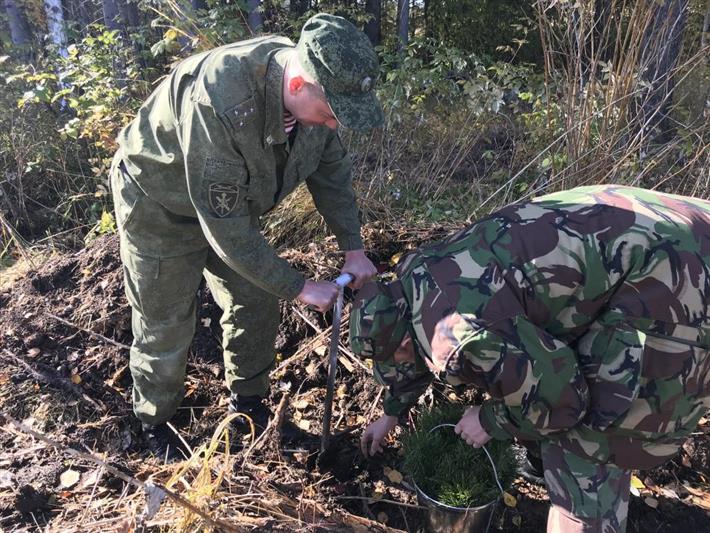 На Урале Росгвардия присоединилась ко Всероссийской акции «Сохраним лес» (видео)