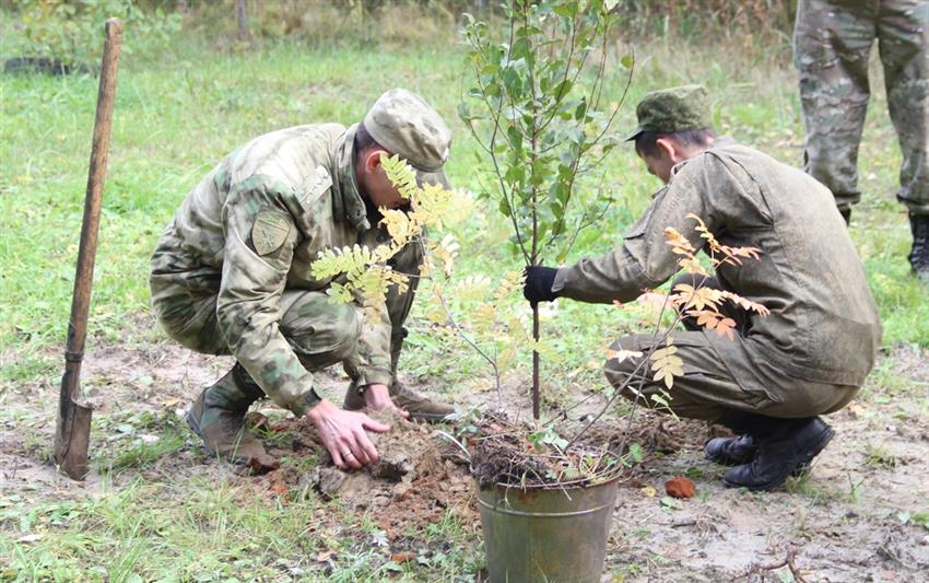 В Тюмени Росгвардия присоединилась ко всероссийской акции «Лес Победы»  