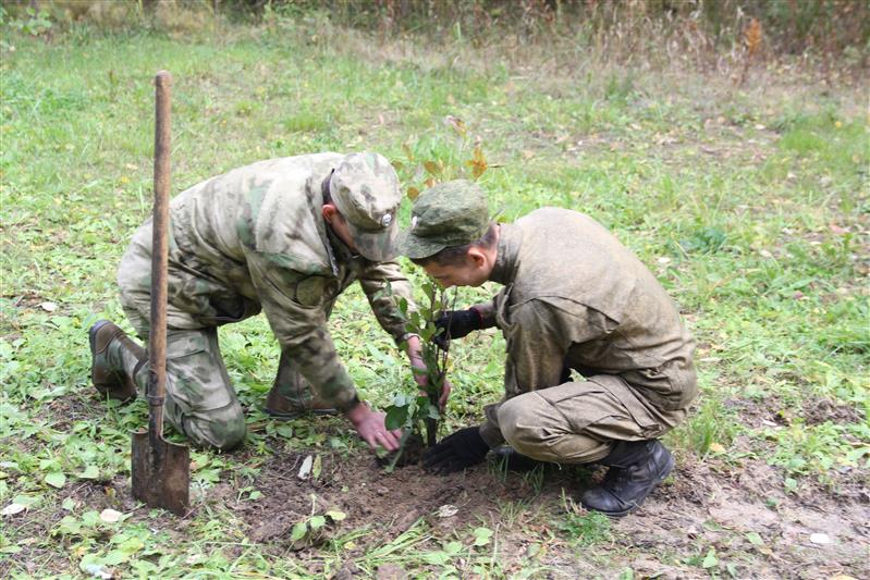 В Тюмени Росгвардия присоединилась ко всероссийской акции «Лес Победы»  